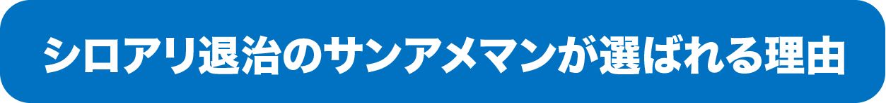 シロアリ退治のサンアメマンが選ばれる理由